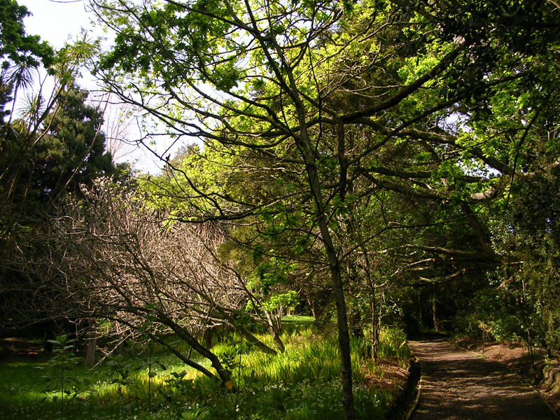 der Eingang zum Park