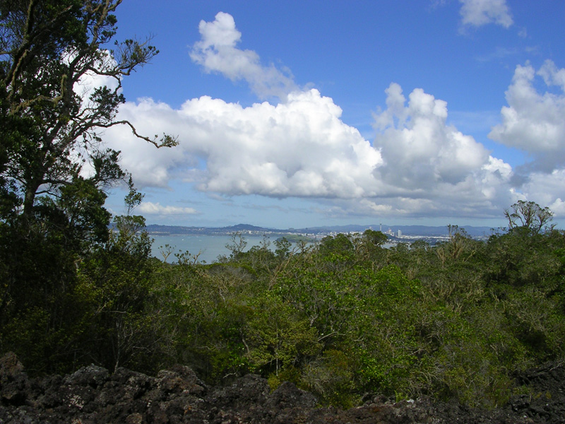 Blick auf Auckland von Rangitoto Island (der Skytower ist in der Skyline zu sehen)