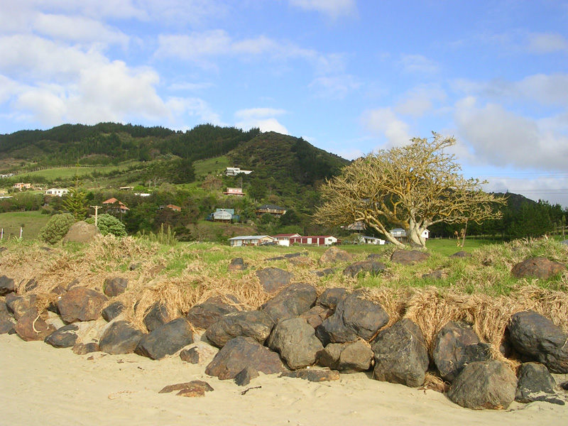 der Strand von Ahipara
