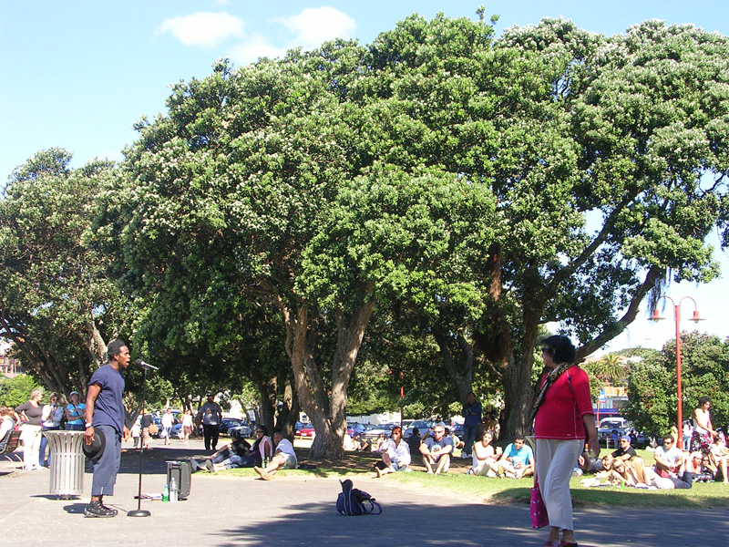 sonntags Nachmittag in Auckland