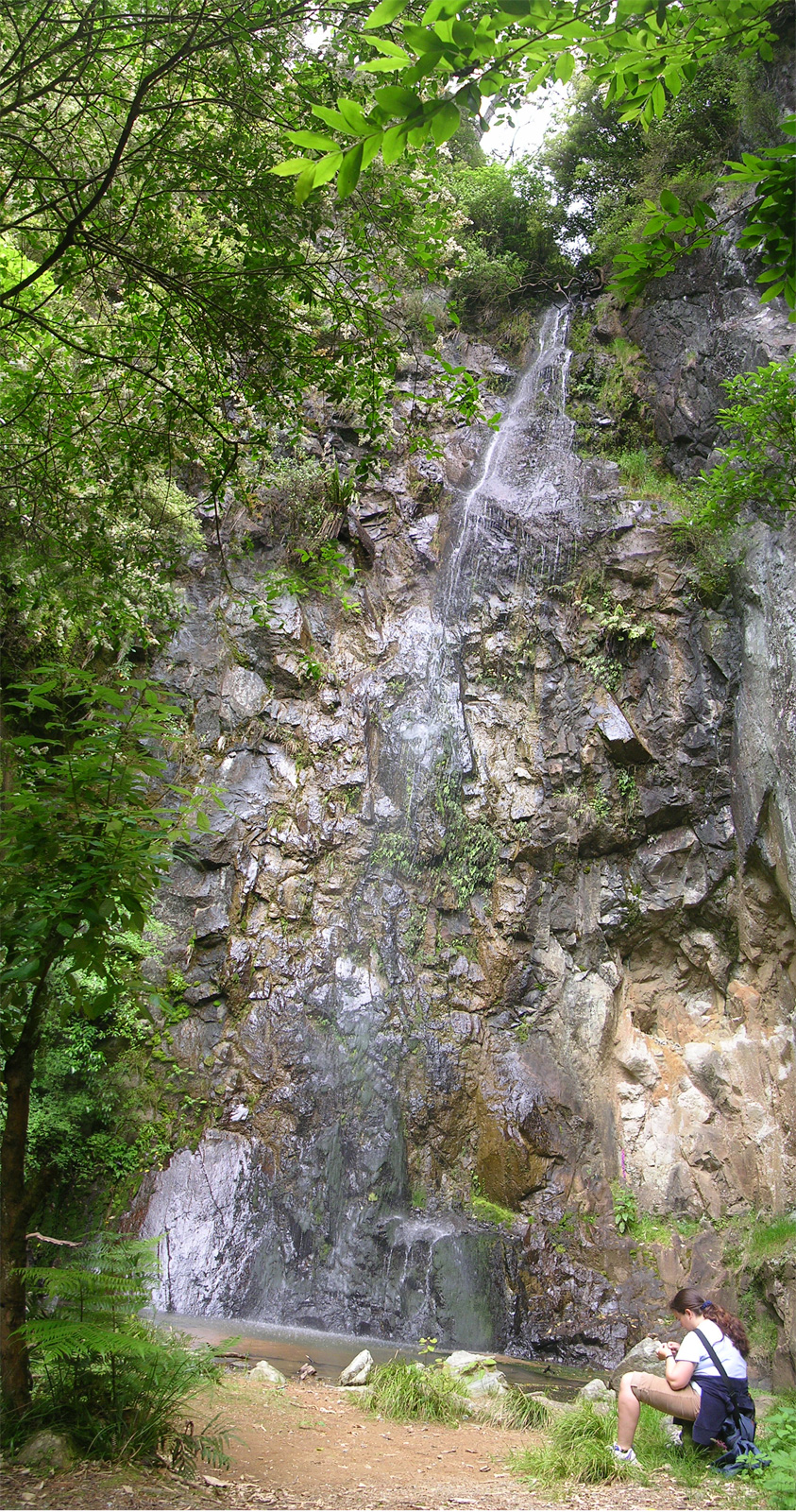 der Wasserfall auf dem Weg nach Karangahake