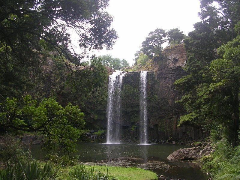 Whangarei Falls