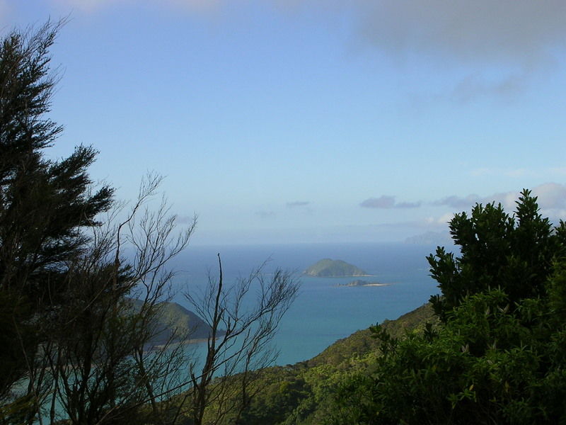 Lookout Okiwi Bay