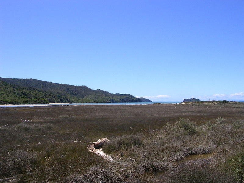 erster Blick zum Abel Tasman Park