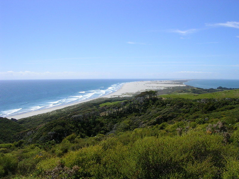 Farewell Spit: die Sandd�nen zwischen den Meeren