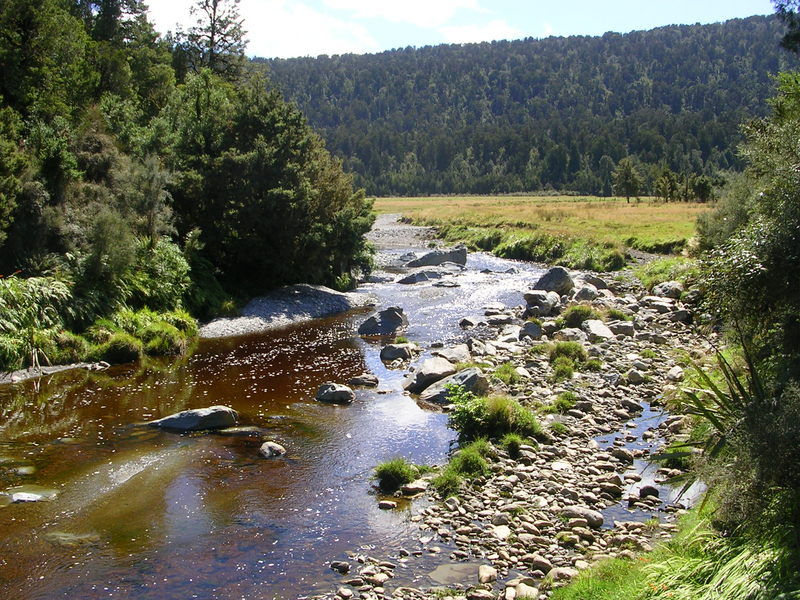 der Weg zum Lake Matheson