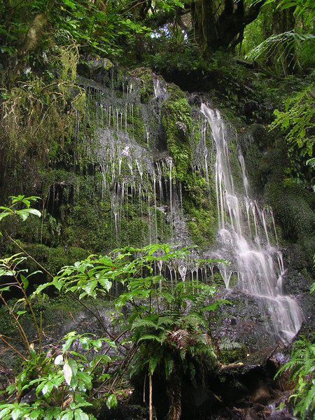 geh�rt noch zum Wasserfall II, ist wesentlich kleiner, aber im Sonnenlicht einer der sch�nsten, die wir hier in NZ gesehen haben