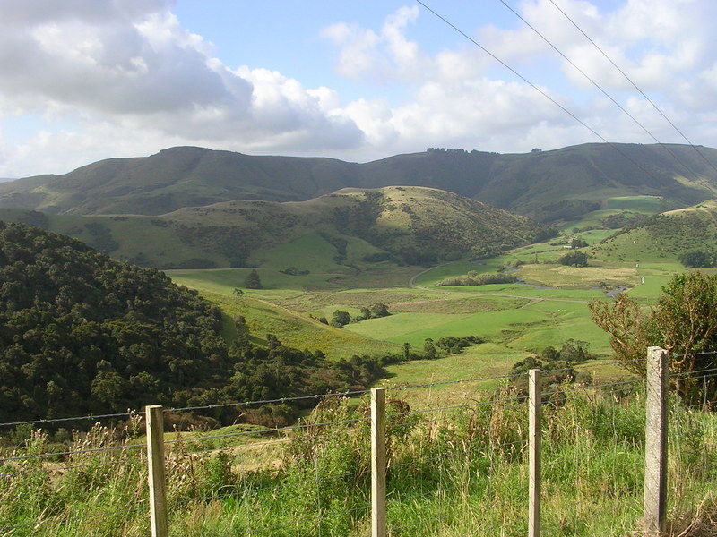 die Landschaft der Catlins