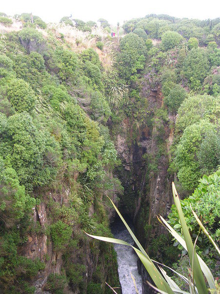 Jack's Blowhole