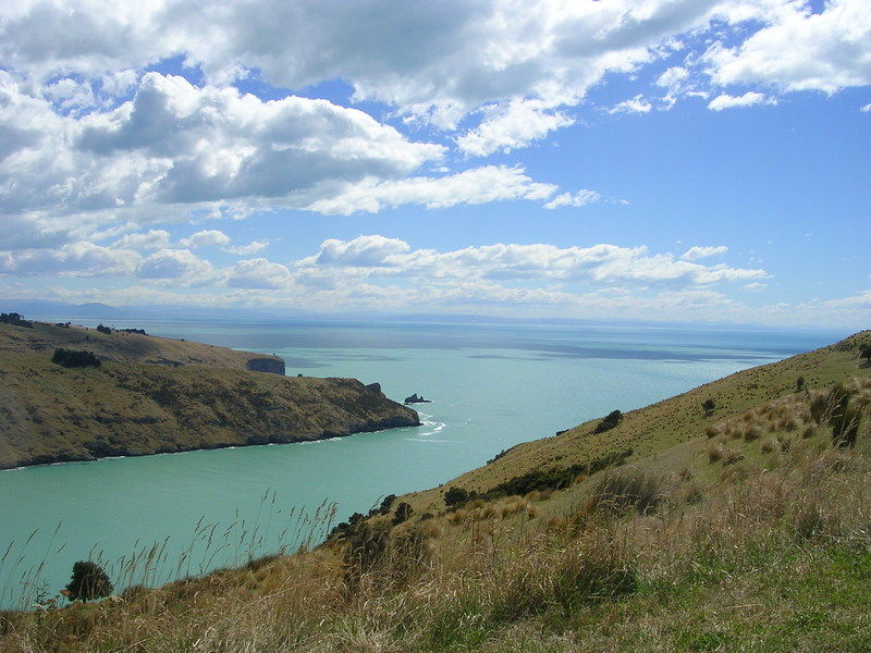 unsere letzte Bay: Little Akaloa