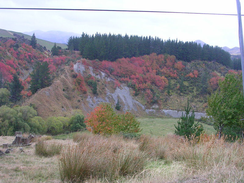 auch der Herbst in Neuseeland ist farbenfroh