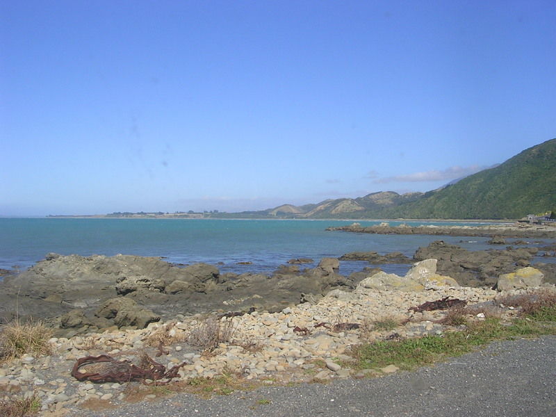 die Fahrt von Kaikoura Richtung Norden: wundersch�ne K�stenstra�e