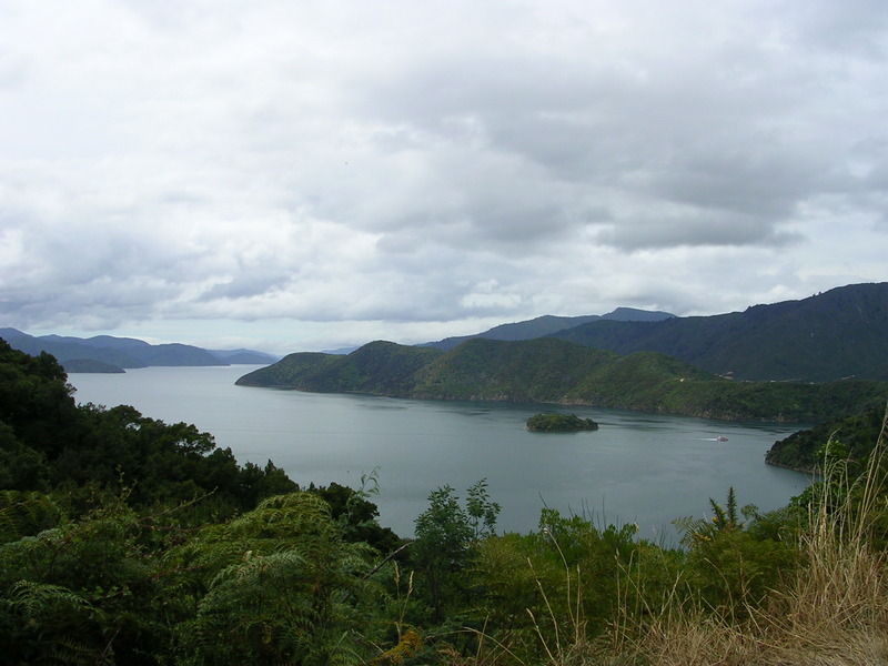 noch mal ein Blick auf die Marlborough Sounds
