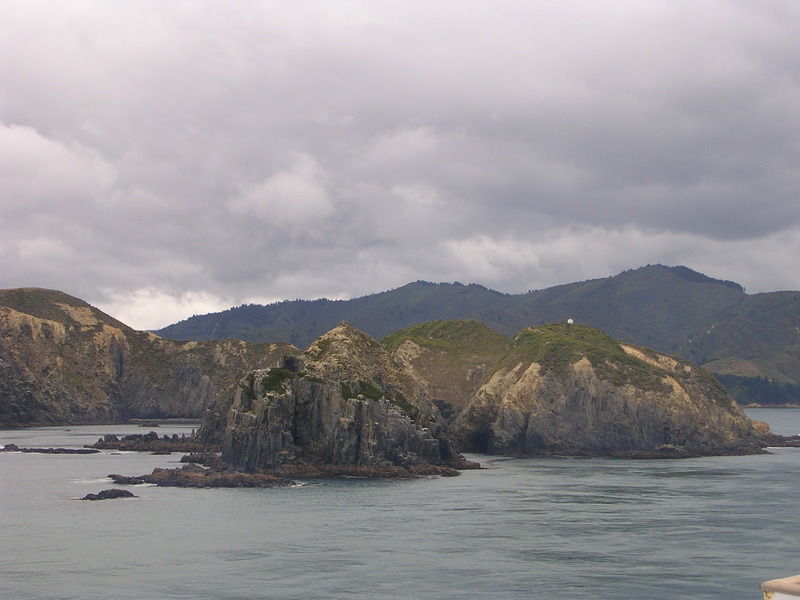 und dann geht es schon wieder zur�ck auf die Cook Strait