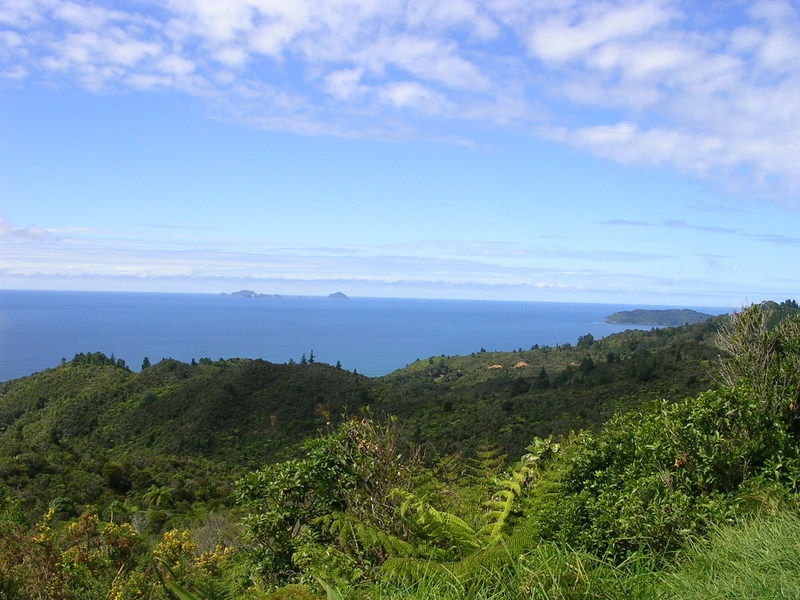 Coromandel - Synonym f�r traumhafte Blicke