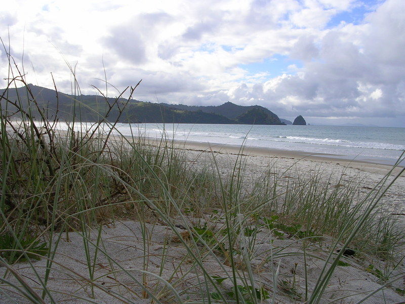 Neuseeland putzt sich f�r unsere letzten Tage noch einmal so richtig raus