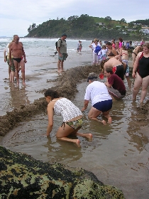 der selbstgebaute Pool am Hot Water Beach