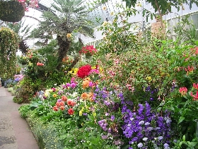 eine wirkliche Blumen- und Pflanzenpracht