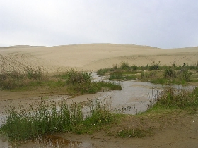 Lust auf Rodeln im Sand?