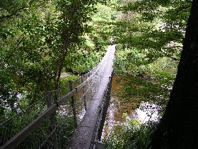 H�ngebr�cke im Kaitoke Reservation Park
