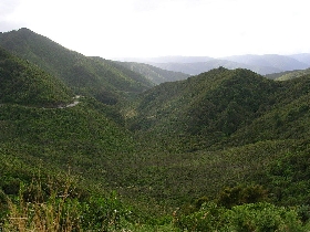 Hutt Valley