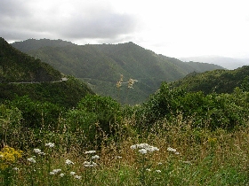 zweiter Blick auf Hutt Valley