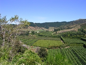 Wein- und Obstplantagen der Region