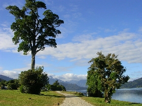 Fr�hst�ck am Lake Kaniere