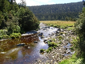 der Weg zum Lake Matheson