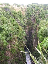 Jack's Blowhole