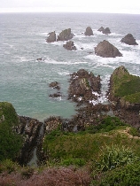 K�ste am Nugget Point