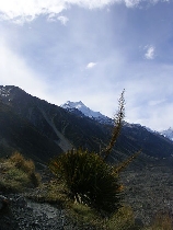 Mount Cook noch einmal von n�her