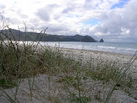 Neuseeland putzt sich f�r unsere letzten Tage noch einmal so richtig raus